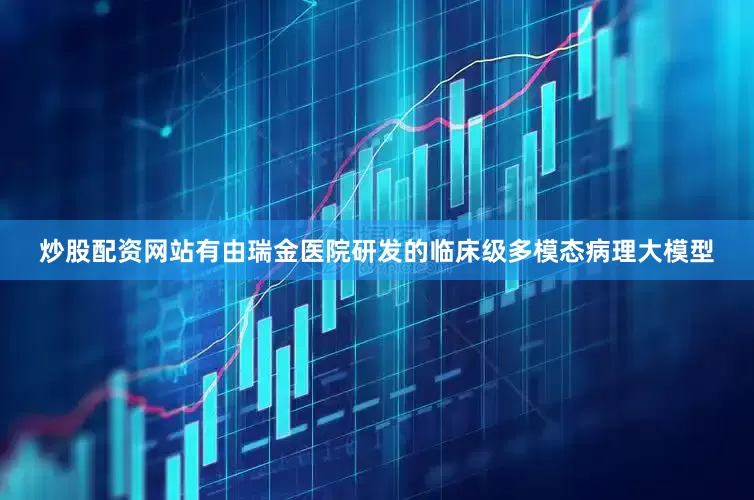 炒股配资网站有由瑞金医院研发的临床级多模态病理大模型