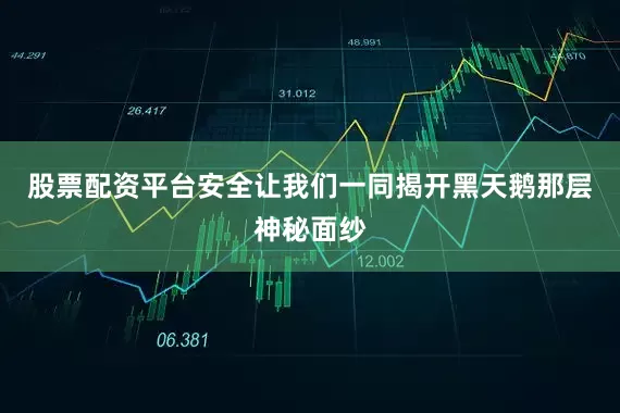 股票配资平台安全让我们一同揭开黑天鹅那层神秘面纱