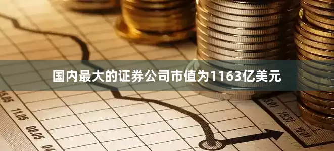 国内最大的证券公司市值为1163亿美元