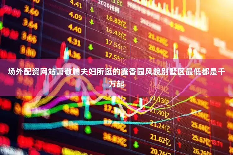 场外配资网站萧敬腾夫妇所逛的露香园风貌别墅区最低都是千万起